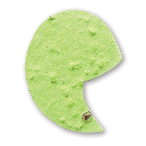Seed Paper Shape Apostrophe - Lime Green