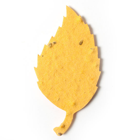Seed Paper Shape Aspen Leaf 1 - Desert Orange