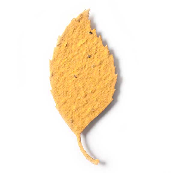 Seed Paper Shape Aspen Leaf 2 - Desert Orange