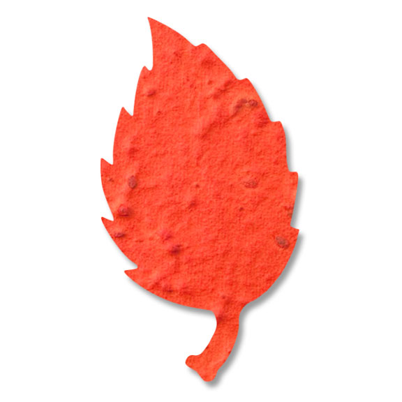 Seed Paper Shape Aspen Leaf 4 - Orange
