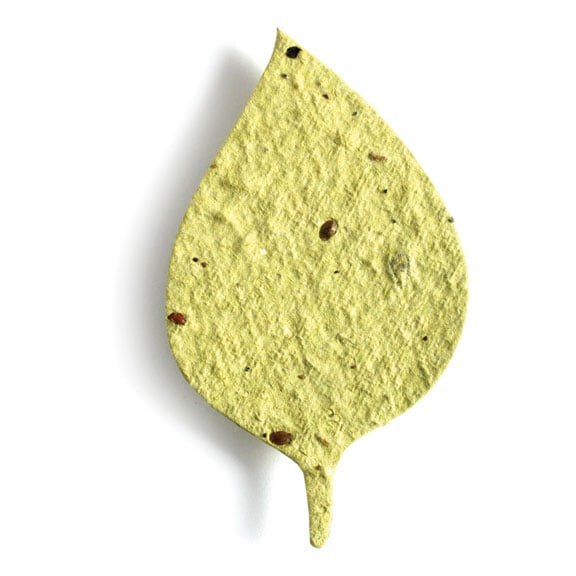 Seed Paper Shape Basil Leaf - Chartreuse