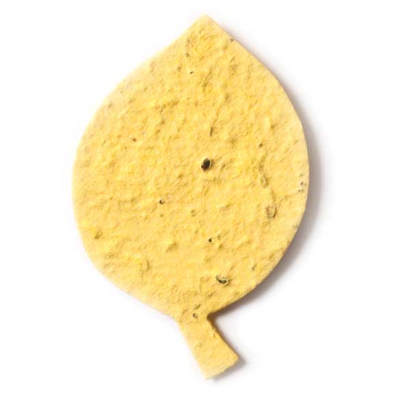 Seed Paper Shape Beech Leaf - Yellow
