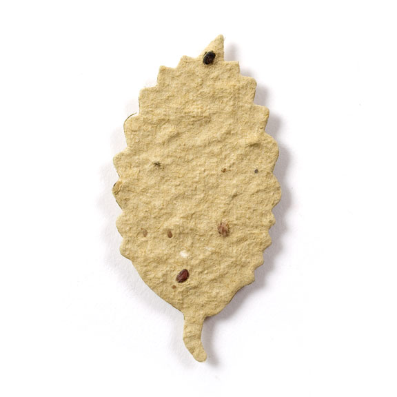 Seed Paper Shape Birch Leaf - Natural