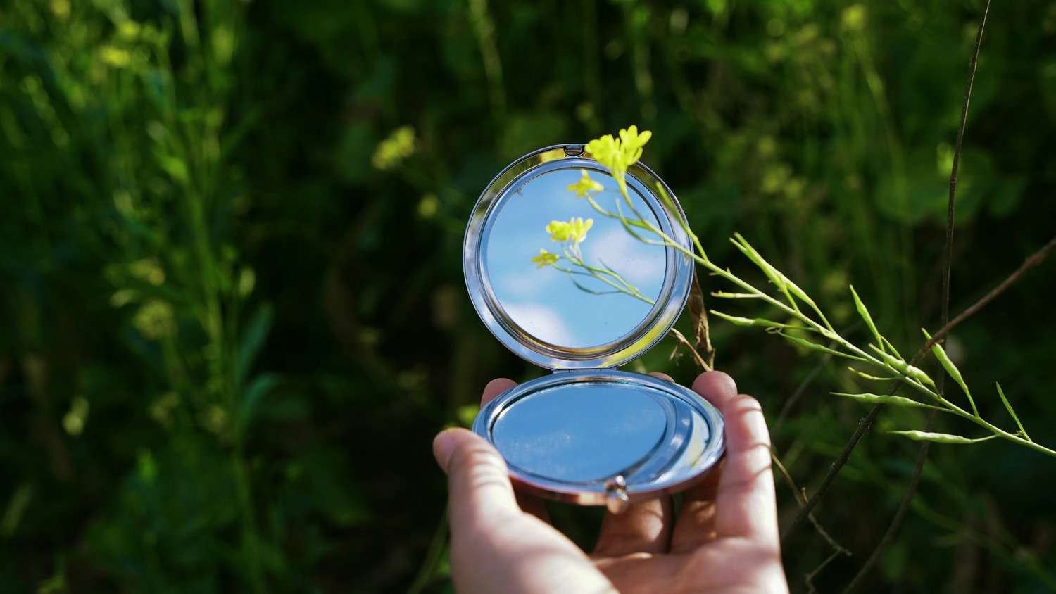 ecosystem