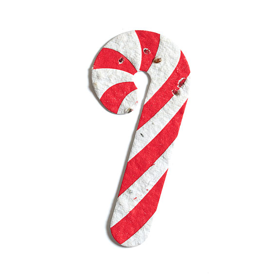 Seed Paper Shape Candy Cane Letterpressed - Red and White