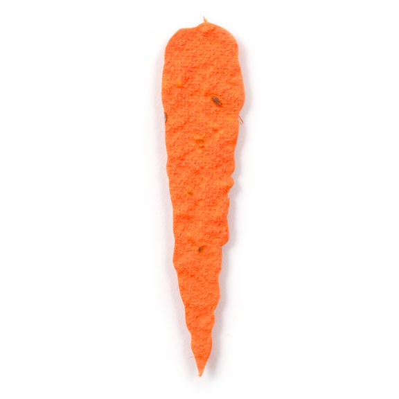 Seed Paper Shape Carrot - Orange