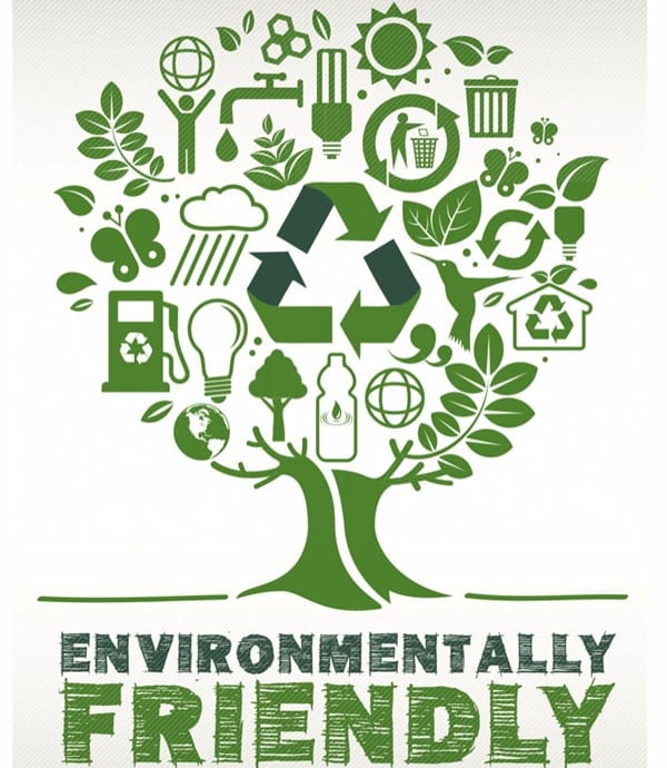 Eco-friendly products convey your brand devotion to positive social and environmental impact 