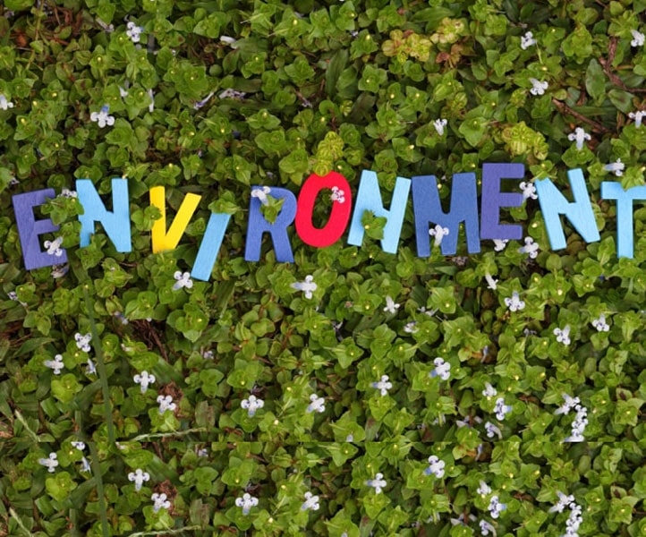 Plantable seed paper in various unique colors and shapes that spells out "environment" in grass