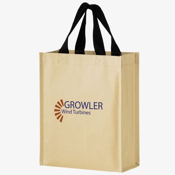 Non-Woven Reusable Hybrid Bags