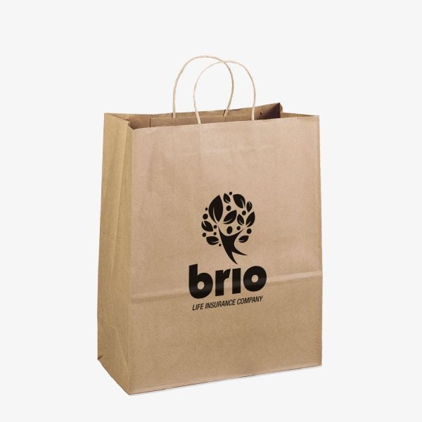 Promotional Recycled Paper Bags