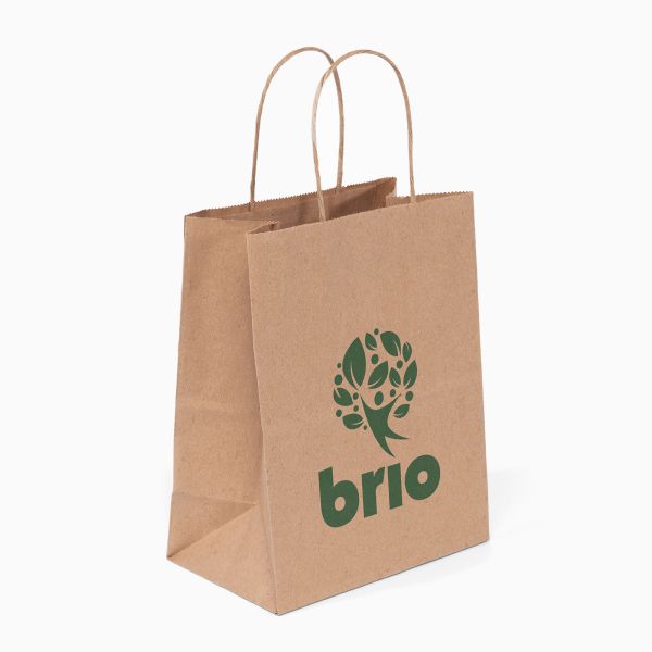 Recycled Natural Paper Bags