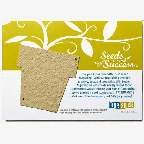Large Seed Paper Shape Postcards