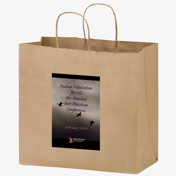 Reusable Shopper Paper Bags