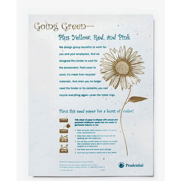 Buy Eco Bloom Plantable Seed Paper White Eco Bloom Plantable Seed Paper  Creased Cards On-line