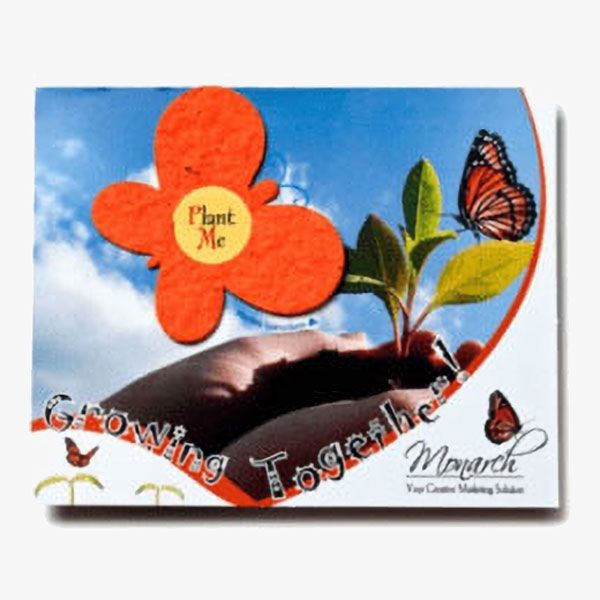 Seed Paper Shape Postcards