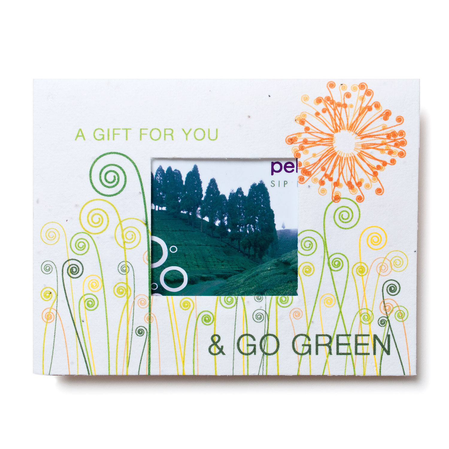Seed Paper Window Gift Card Holder | Custom Plantable Cards