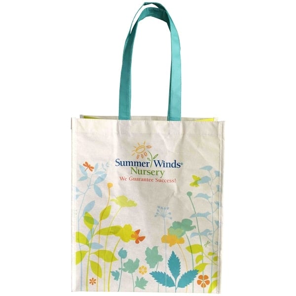 Reusable Plastic Shopping Bags Wholesale | SEMA Data Co-op