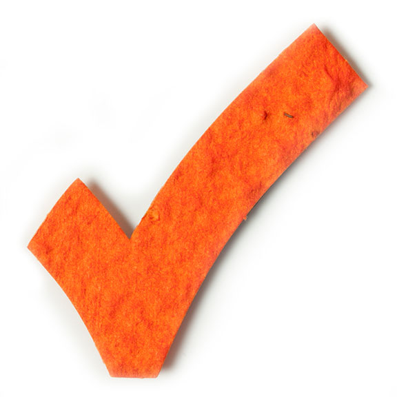 Seed Paper Shape Check Mark - Orange