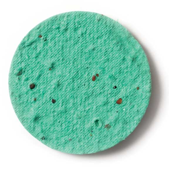 Seed Paper Shape Circle - Sage Green