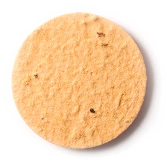 Seed Paper Shape Circle 2 - Desert Orange