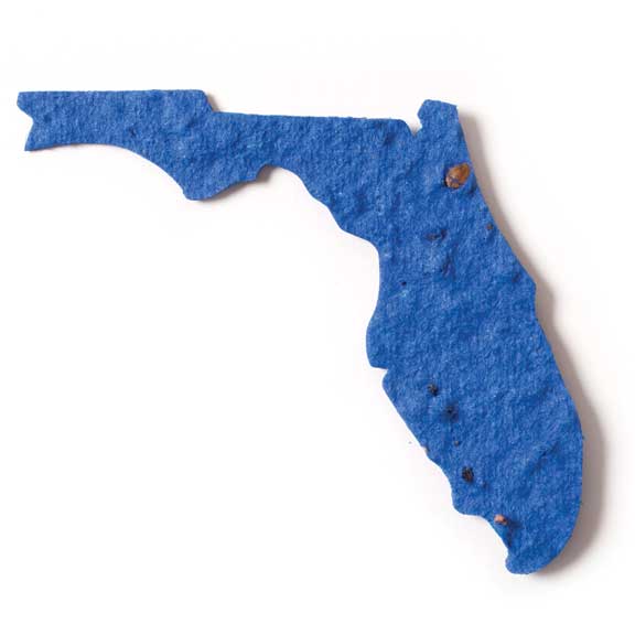 Seed Paper Shape Florida - Royal Blue