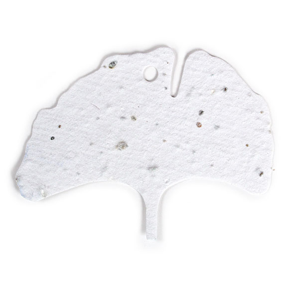 Seed Paper Shape Ginkgo Leaf - White