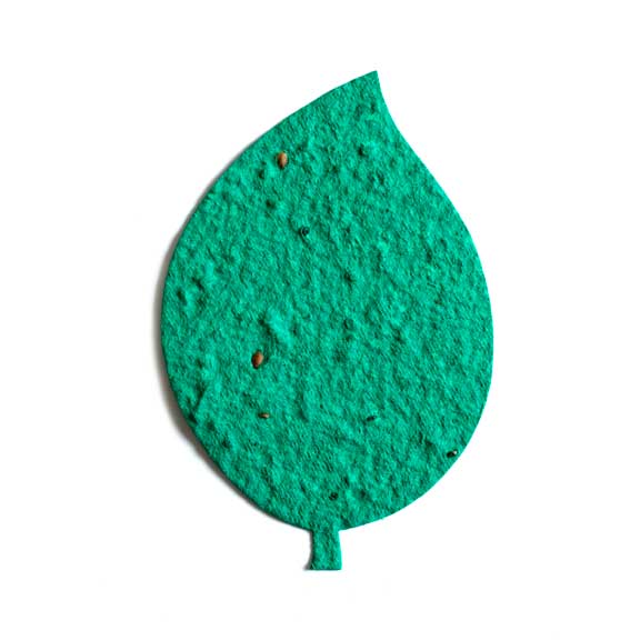 Seed Paper Shape Large Leaf 2 - Forest Green