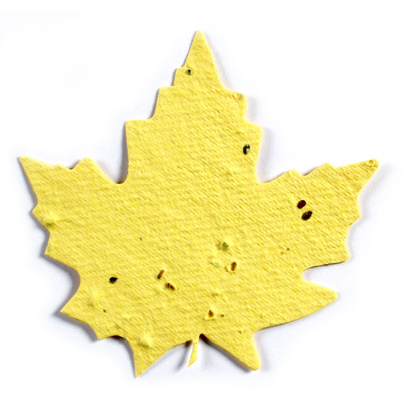 Seed Paper Shape Maple Leaf 1 - Yellow