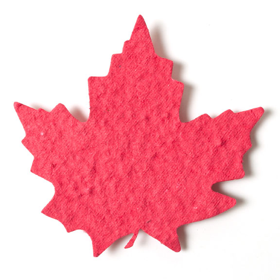 Seed Paper Shape Maple Leaf 2 - Cranberry Red