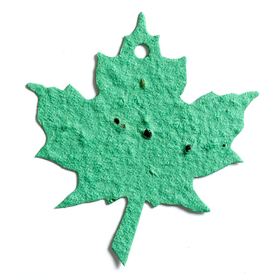 Seed Paper Shape Maple Leaf 3 - Sage Green