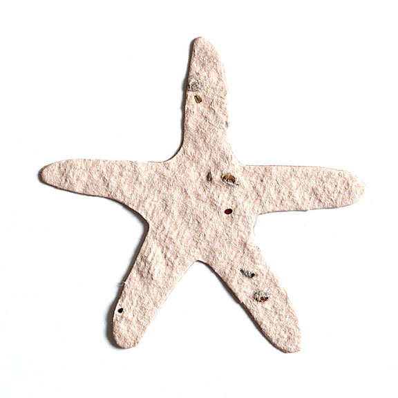 Seed Paper Shape Starfish - Natural Brown