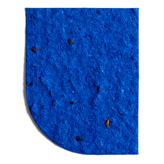 Seed Paper Shape Shield 2 - Royal Blue