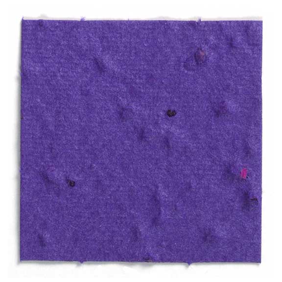Seed Paper Shape Square - Violet