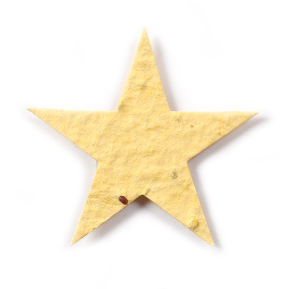 Seed Paper Shape Star 1 - Light Yellow