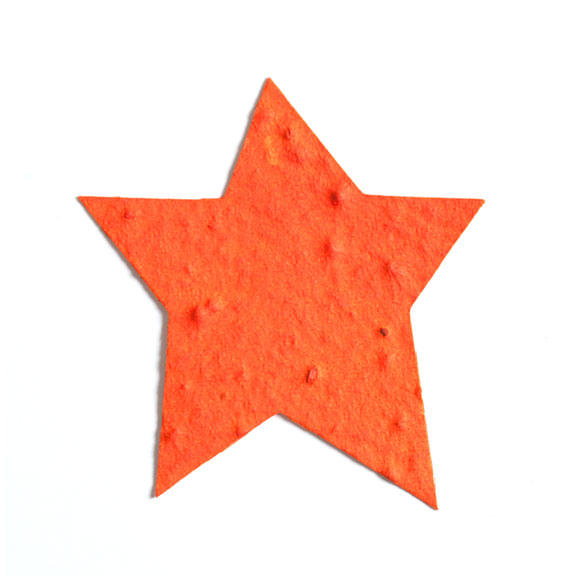 Seed Paper Shape Star 3 - Orange