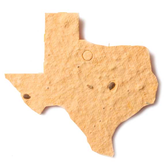 Seed Paper Shape Texas - Natural Brown