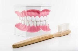 Eco-friendly Toothbrush for Your Pearly Whites