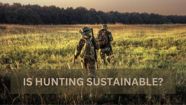 Is Hunting Sustainable?
