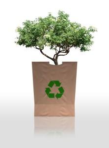 Promotion of Reusable Eco-Friendly Bags in Darien