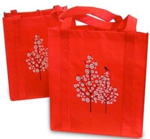 Save the Environment with Recycled Shopping Bags