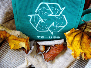 Flathead County Changes its Recycling Program and Promotes Printed Custom Bags