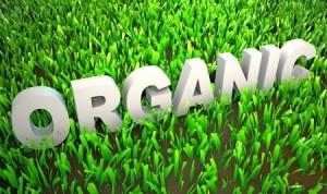 8 Percent Growth for Organic Valley in 2013