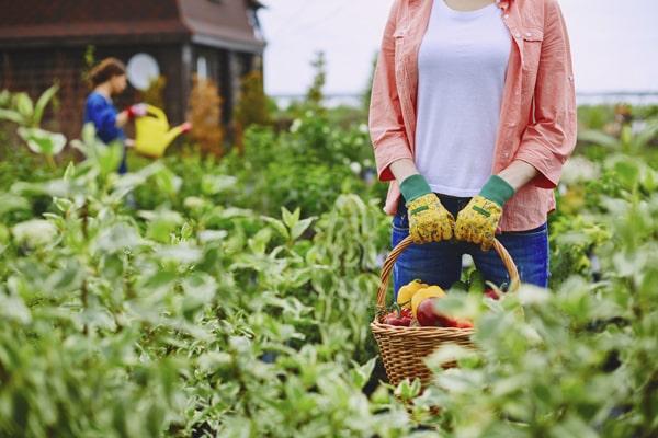Gem County Celebrates Organic Week with Farm Visit