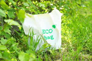 Southold can Use Promo Shopping Bags to Widen the Reach of Bag Ban