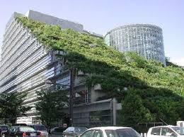 Green Buildings – A Source of Generating Business Values