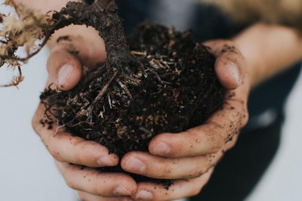 Washington State to Become First to Allow Human Composting