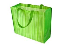 The Residents' Response to Custom Reusable Shopping Bag in Corvallis
