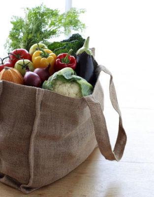 Best Canvas Shopping Bags