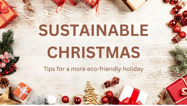 Sustainable Christmas: Tips for a more eco-friendly holiday