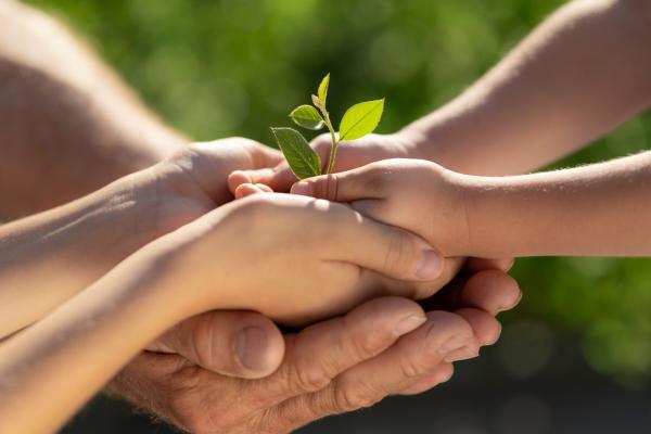 Green Parenting: 9 Amazing Tips to Raise Eco-Conscious Children